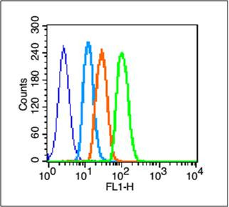 EGFR Antibody in Flow Cytometry (Flow)