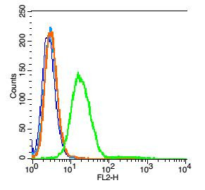 Neurokinin B receptor Antibody in Flow Cytometry (Flow)