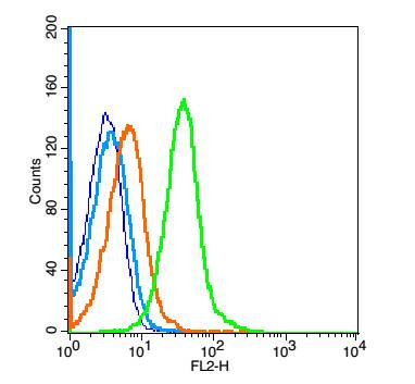 VEGFR1 Antibody in Flow Cytometry (Flow)