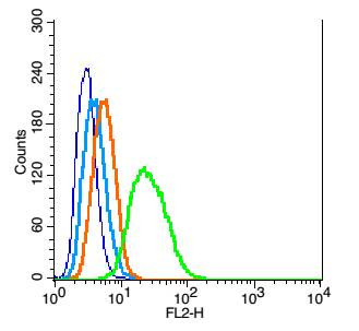 TrkB Antibody in Flow Cytometry (Flow)