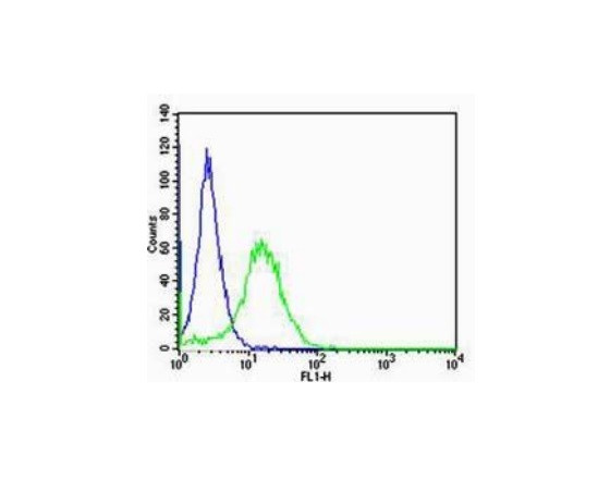 RAGE Antibody in Flow Cytometry (Flow)