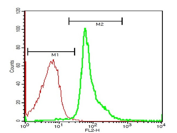 Glucocorticoid receptor Antibody in Flow Cytometry (Flow)