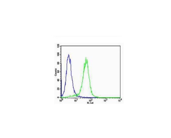 VEGF Antibody in Flow Cytometry (Flow)