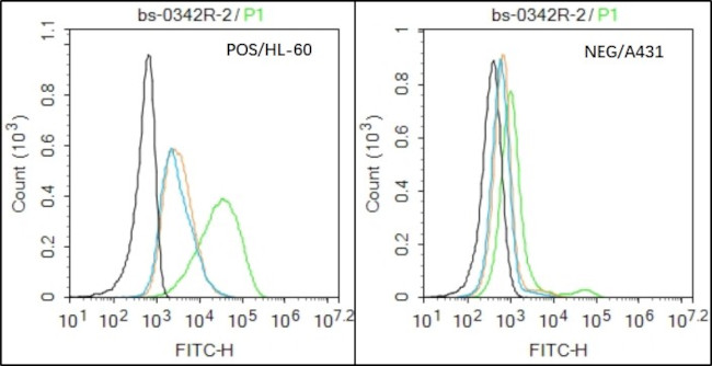 Integrin beta 3 Antibody in Flow Cytometry (Flow)