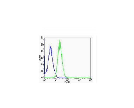 ARC/Arg3.1 Antibody in Flow Cytometry (Flow)