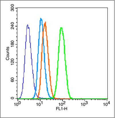 MMP2 Antibody in Flow Cytometry (Flow)