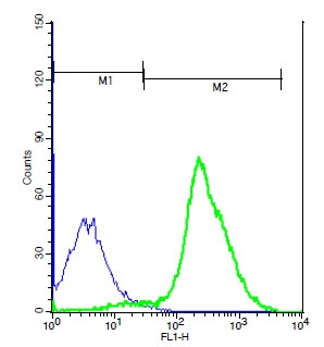 TSHR Antibody in Flow Cytometry (Flow)