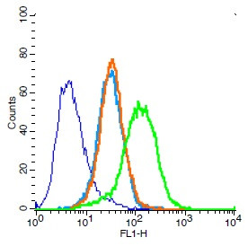 CD31 Antibody in Flow Cytometry (Flow)