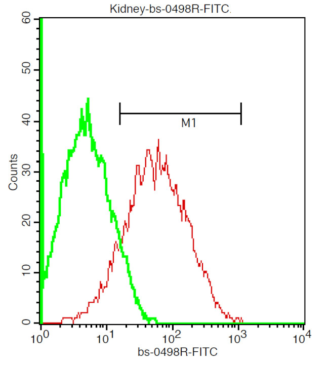 ADRB1 Antibody in Flow Cytometry (Flow)