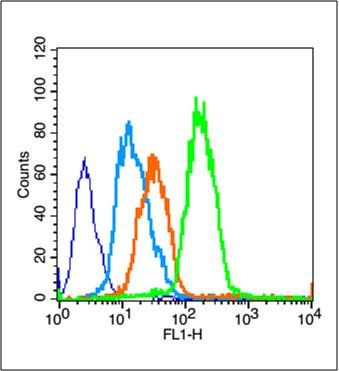 PPAR gamma Antibody in Flow Cytometry (Flow)