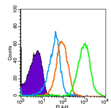 SCF Antibody in Flow Cytometry (Flow)