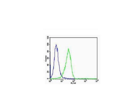 Cyclin B1 Antibody in Flow Cytometry (Flow)