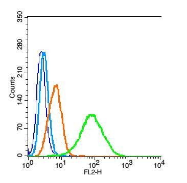 PALB2 Antibody in Flow Cytometry (Flow)