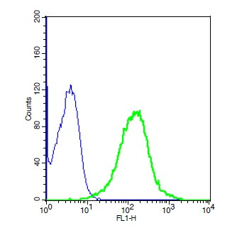 Aquaporin 4 Antibody in Flow Cytometry (Flow)