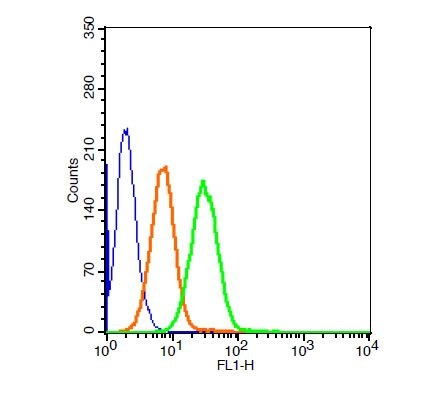 LRP Antibody in Flow Cytometry (Flow)