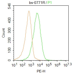 CaMK2 Antibody in Flow Cytometry (Flow)