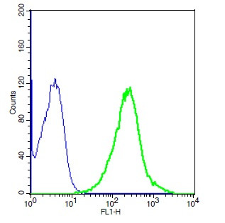 CX3CL1 Antibody in Flow Cytometry (Flow)