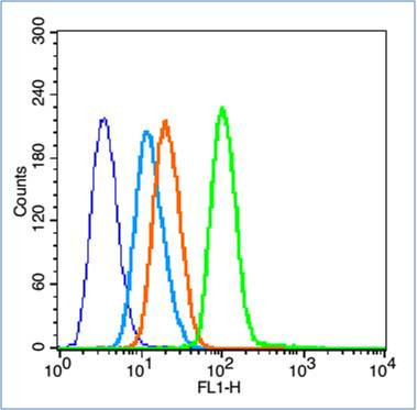 Phospho-NFKB p65 (Ser536) Antibody in Flow Cytometry (Flow)