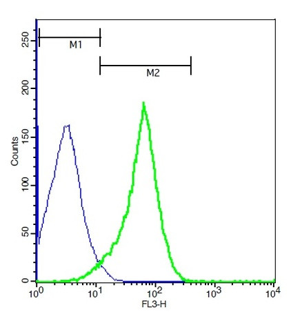 E cadherin Antibody in Flow Cytometry (Flow)