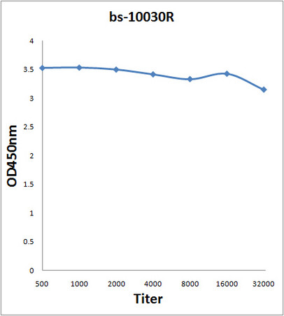 LEO1 Antibody in ELISA (ELISA)