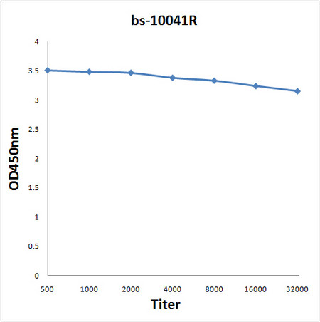 GYPB Antibody in ELISA (ELISA)