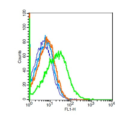 ACE2 Antibody in Flow Cytometry (Flow)