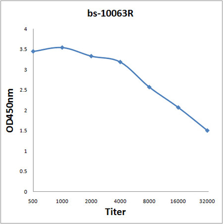 Lymphotoxin Beta Antibody in ELISA (ELISA)