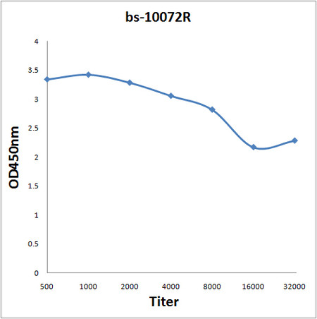 VEGFB Antibody in ELISA (ELISA)