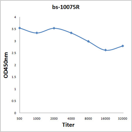 Nidogen2 Antibody in ELISA (ELISA)