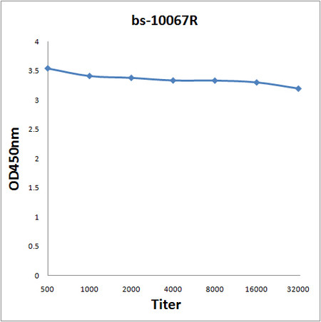 ROR1 Antibody in ELISA (ELISA)