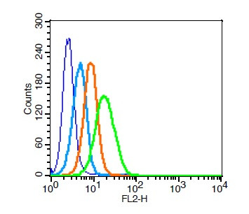 CXCR4 Antibody in Flow Cytometry (Flow)