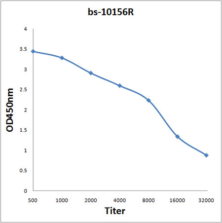 NOX5 Antibody in ELISA (ELISA)