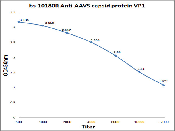 Adeno-Associated Virus Capsid Protein VP1 Antibody in ELISA (ELISA)