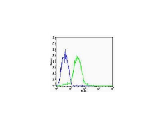 CHI3L1 Antibody in Flow Cytometry (Flow)