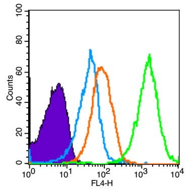 AMPK alpha-1 Antibody in Flow Cytometry (Flow)