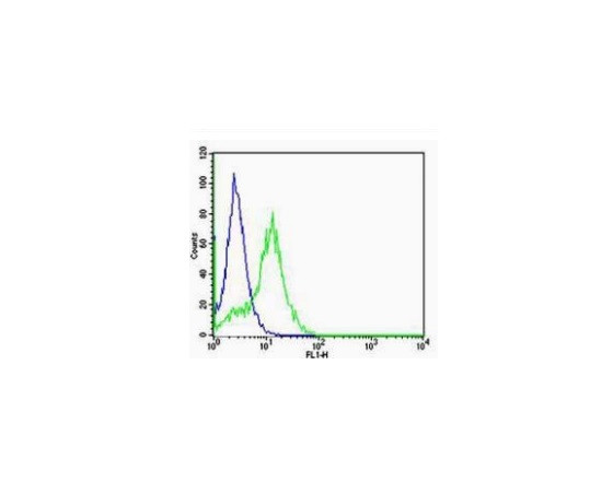 VEGFR2 Antibody in Flow Cytometry (Flow)