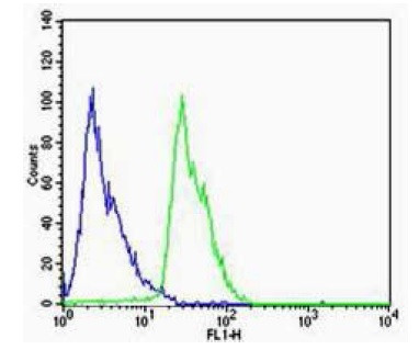 Dopamine Receptor D1 Antibody in Flow Cytometry (Flow)