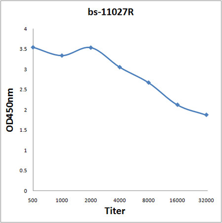 K5A/NKHC1 Antibody in ELISA (ELISA)