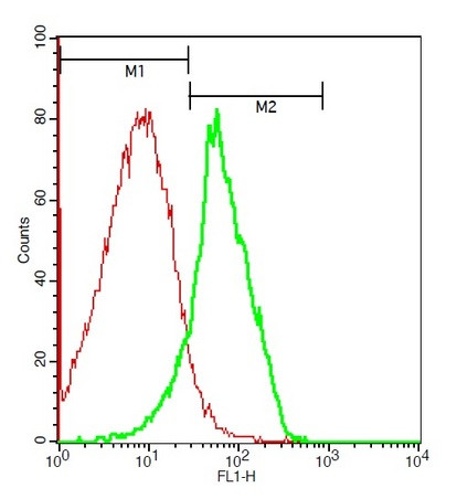 CD11b/c Antibody in Flow Cytometry (Flow)