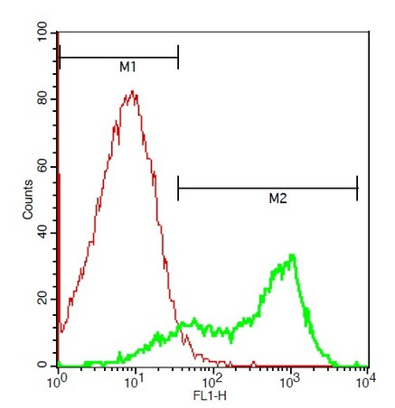 CD11b/c Antibody in Flow Cytometry (Flow)