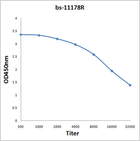 SPP/Signal Peptide Peptidase Antibody in ELISA (ELISA)