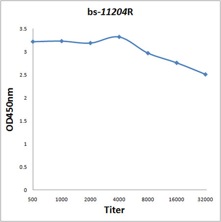 PAX6 Antibody in ELISA (ELISA)