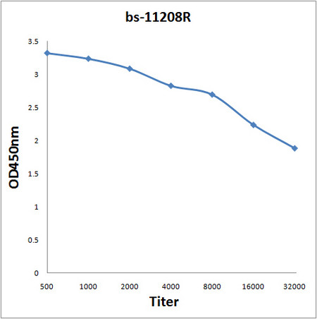 SOX4 Antibody in ELISA (ELISA)