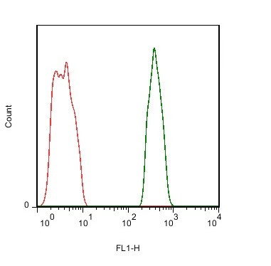 PTP zeta Antibody in Flow Cytometry (Flow)