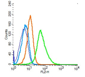 AAMP Antibody in Flow Cytometry (Flow)