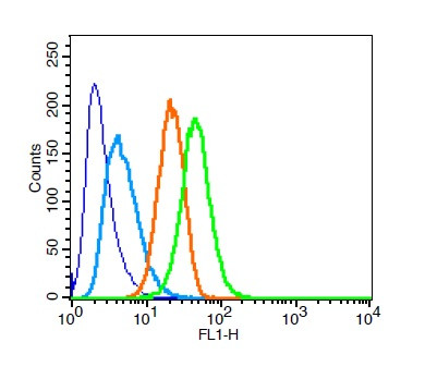 STAT3 Antibody in Flow Cytometry (Flow)