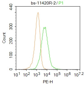 NMUR1/GPR66 Antibody in Flow Cytometry (Flow)