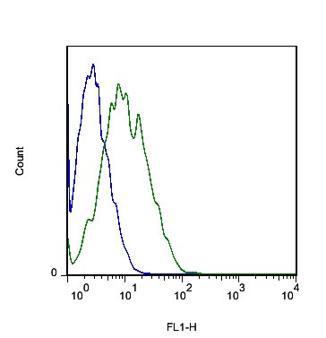 MOT8/SLC16A2 Antibody in Flow Cytometry (Flow)