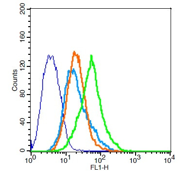 RAI3 Antibody in Flow Cytometry (Flow)