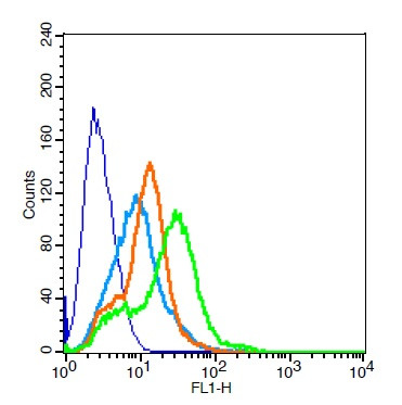 KCNQ2 Antibody in Flow Cytometry (Flow)